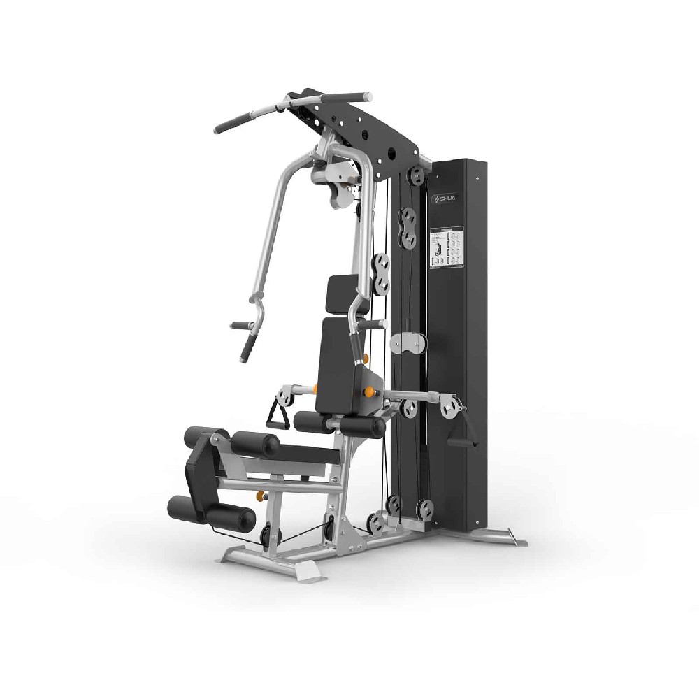 单双杠及提腿腹肌组合练习器 SH-G6888-T18